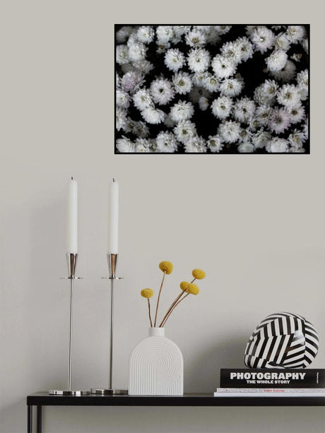 Tiny Flowers 3 Poster och Canvastavla