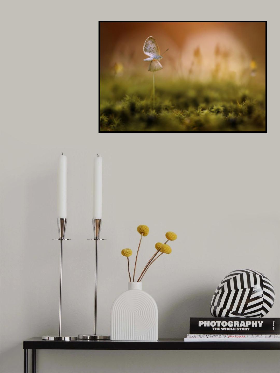 Waiting Poster och Canvastavla