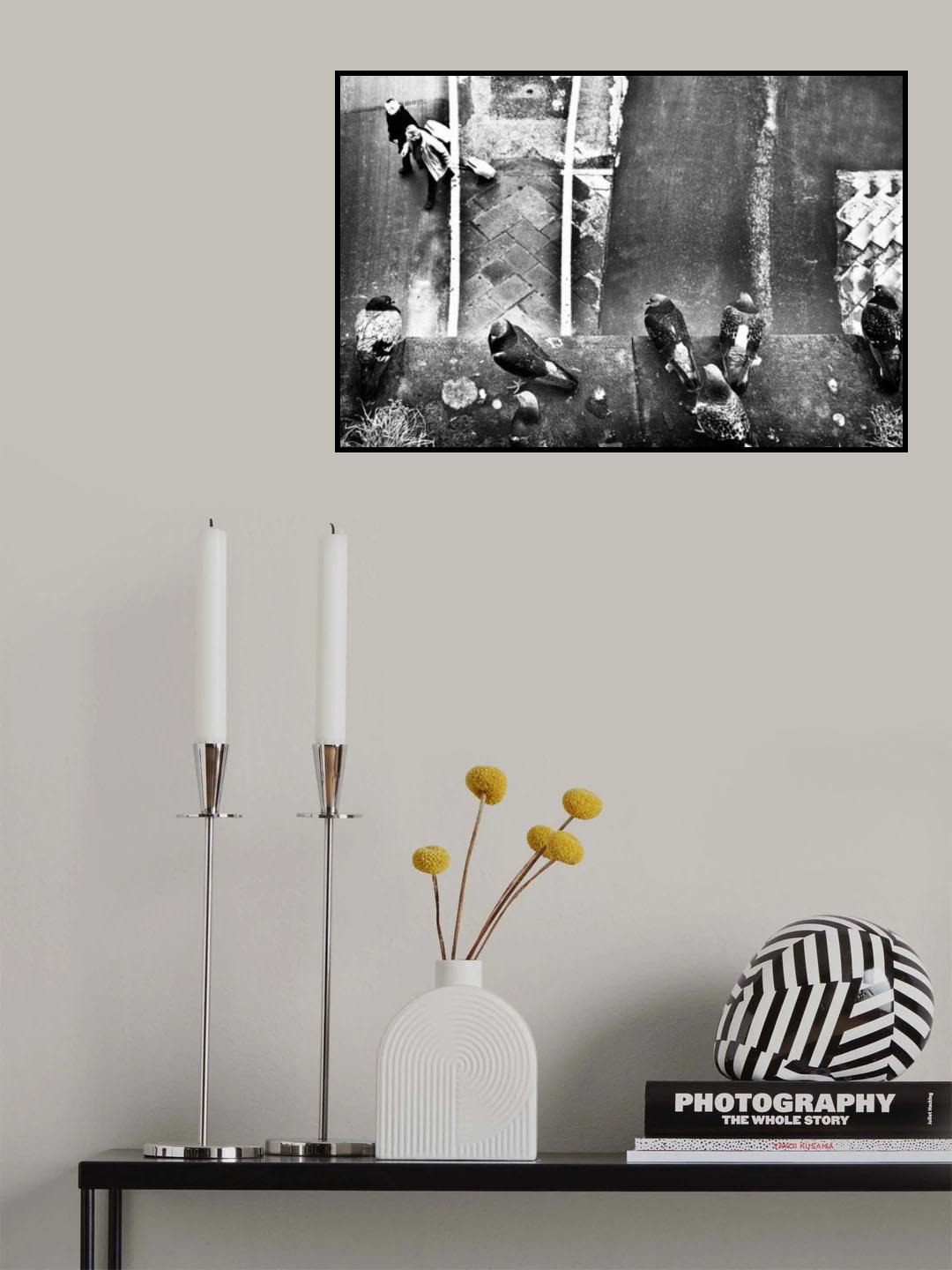 seven pigeons and two trolley Poster och Canvastavla