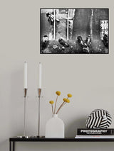 seven pigeons and two trolley Poster och Canvastavla