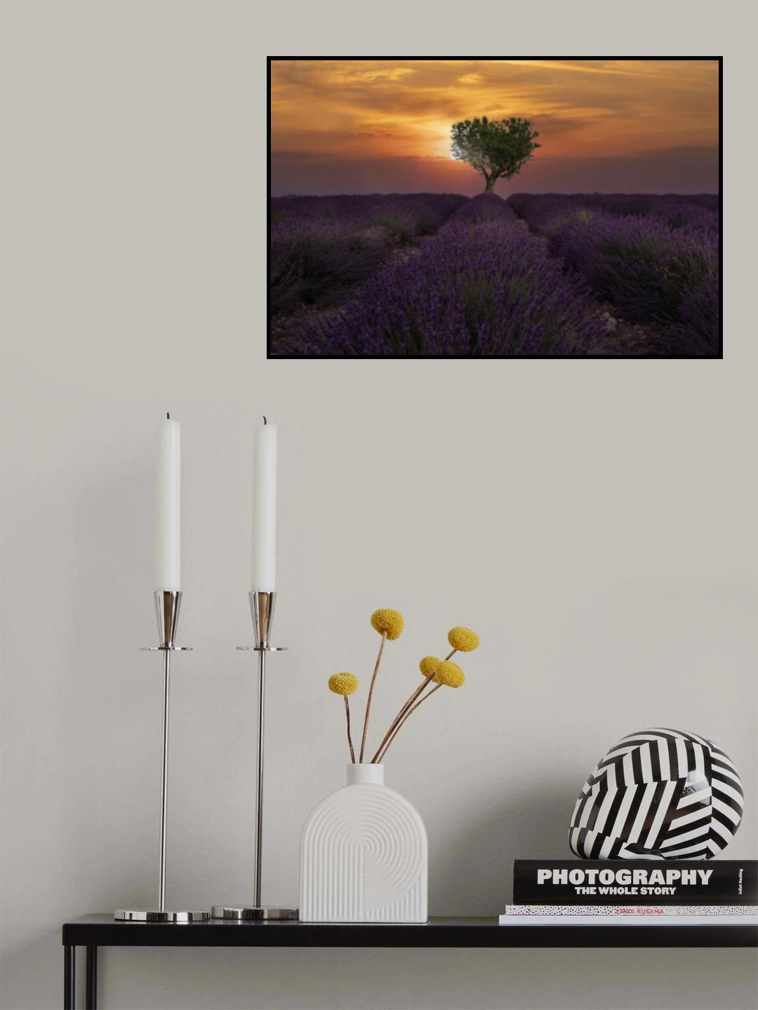 Sunrise in Valensole Poster och Canvastavla