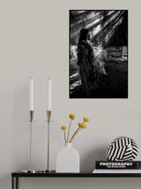 In the light Poster och Canvastavla
