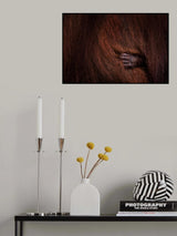 I'm safe Poster och Canvastavla