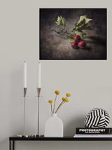 Sprig of hawthorn Poster och Canvastavla