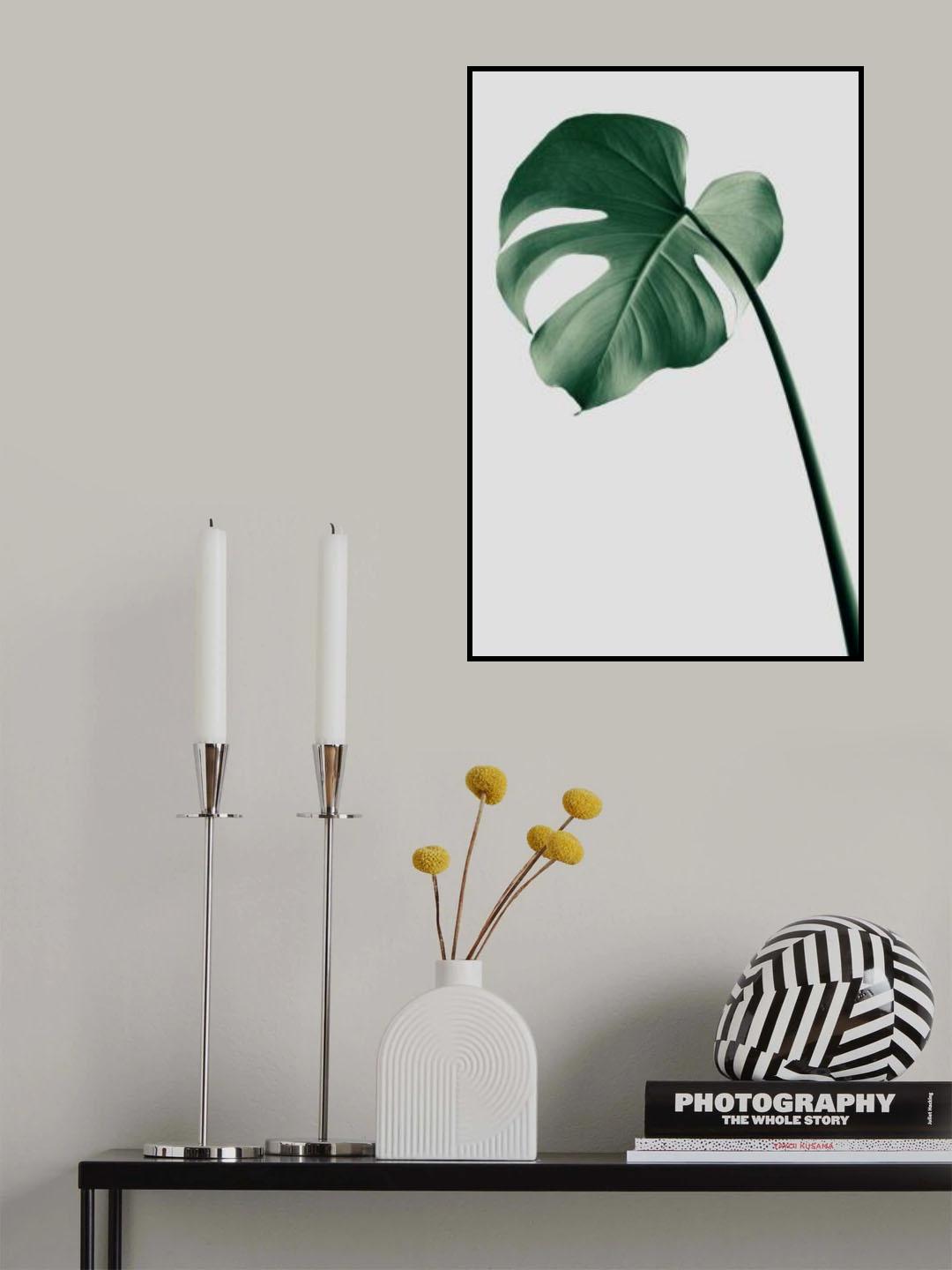 Monstera Natural 36 Poster och Canvastavla