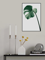 Monstera Natural 36 Poster och Canvastavla