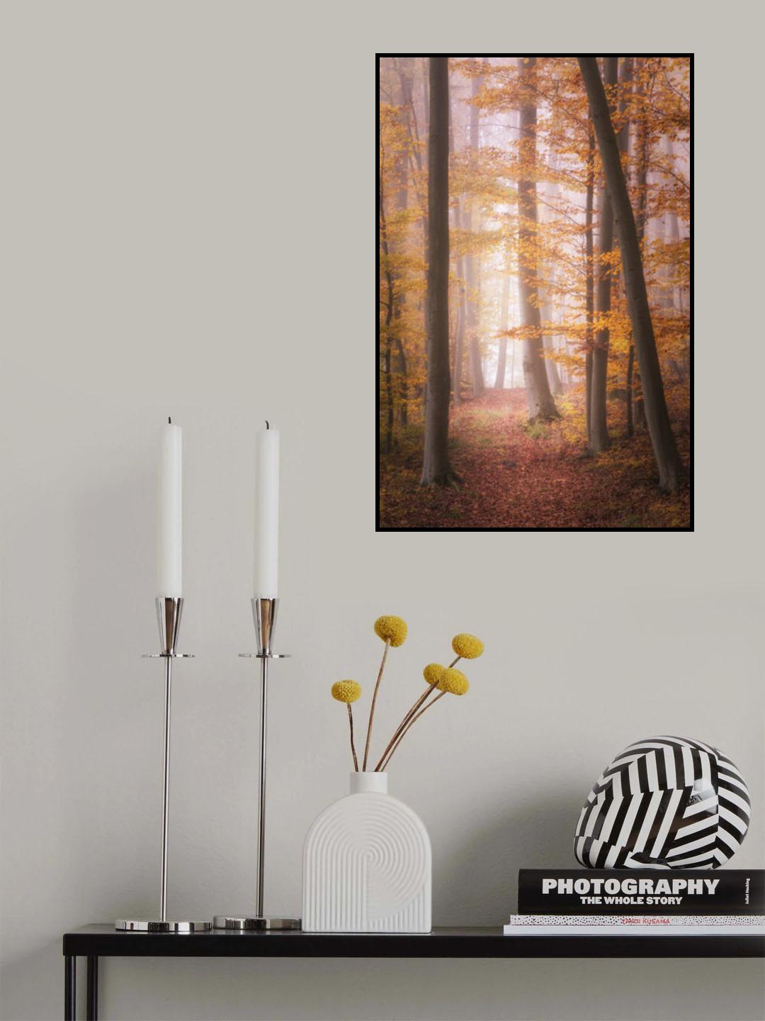 Autumn Woodland in Fog Poster och Canvastavla