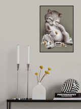 greedy cat Poster och Canvastavla