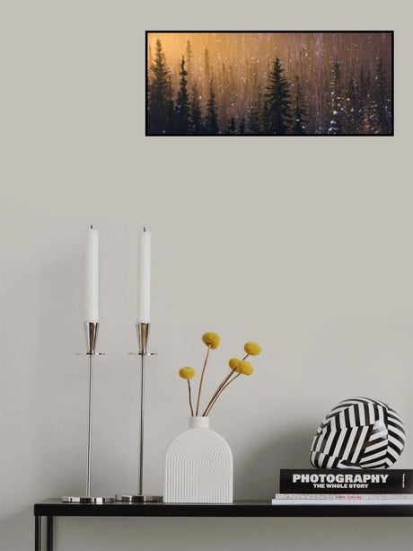 Snow Flakes Poster och Canvastavla