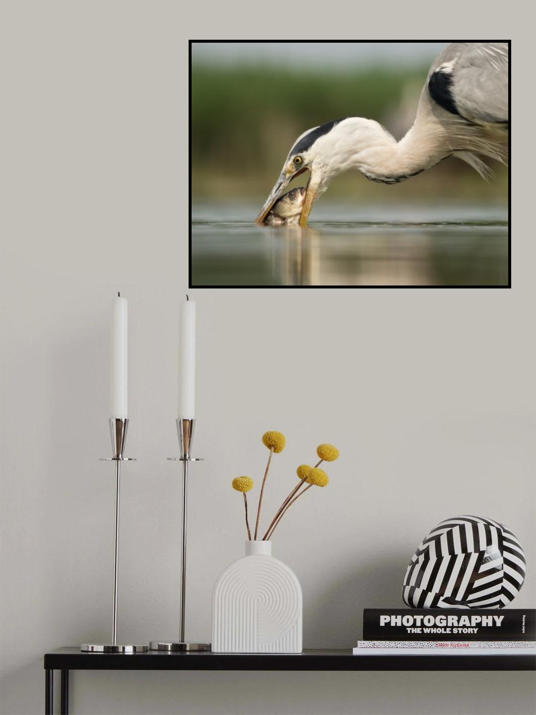 The Catch Poster och Canvastavla