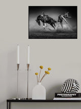 Falling Over Poster och Canvastavla