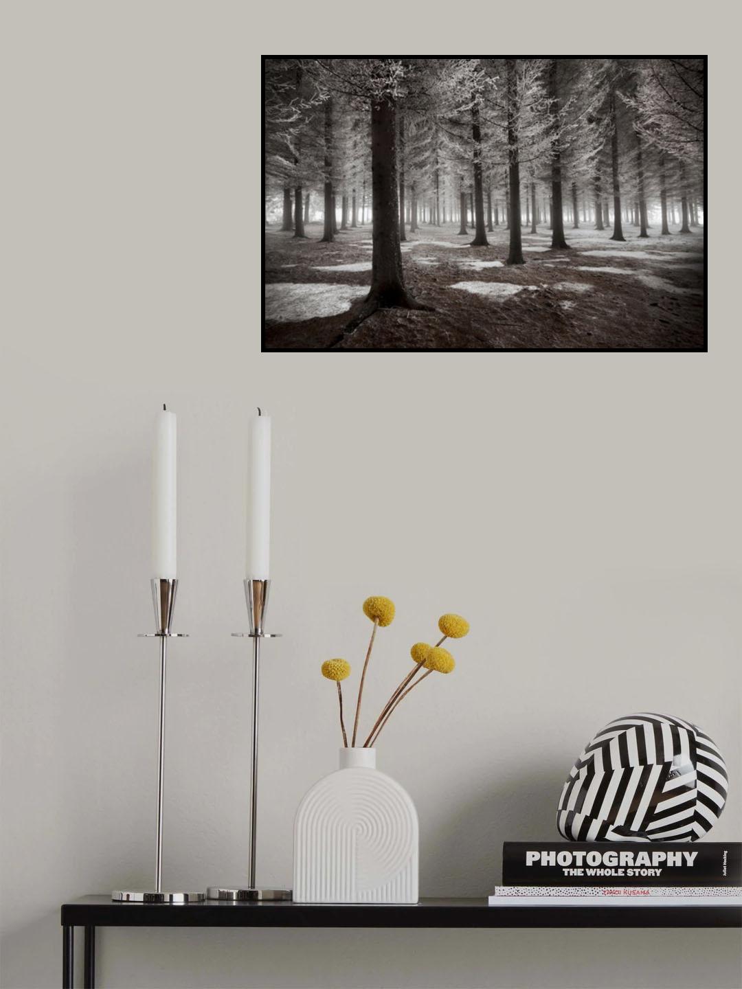 The onset of winter Poster och Canvastavla