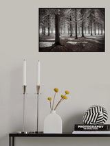 The onset of winter Poster och Canvastavla