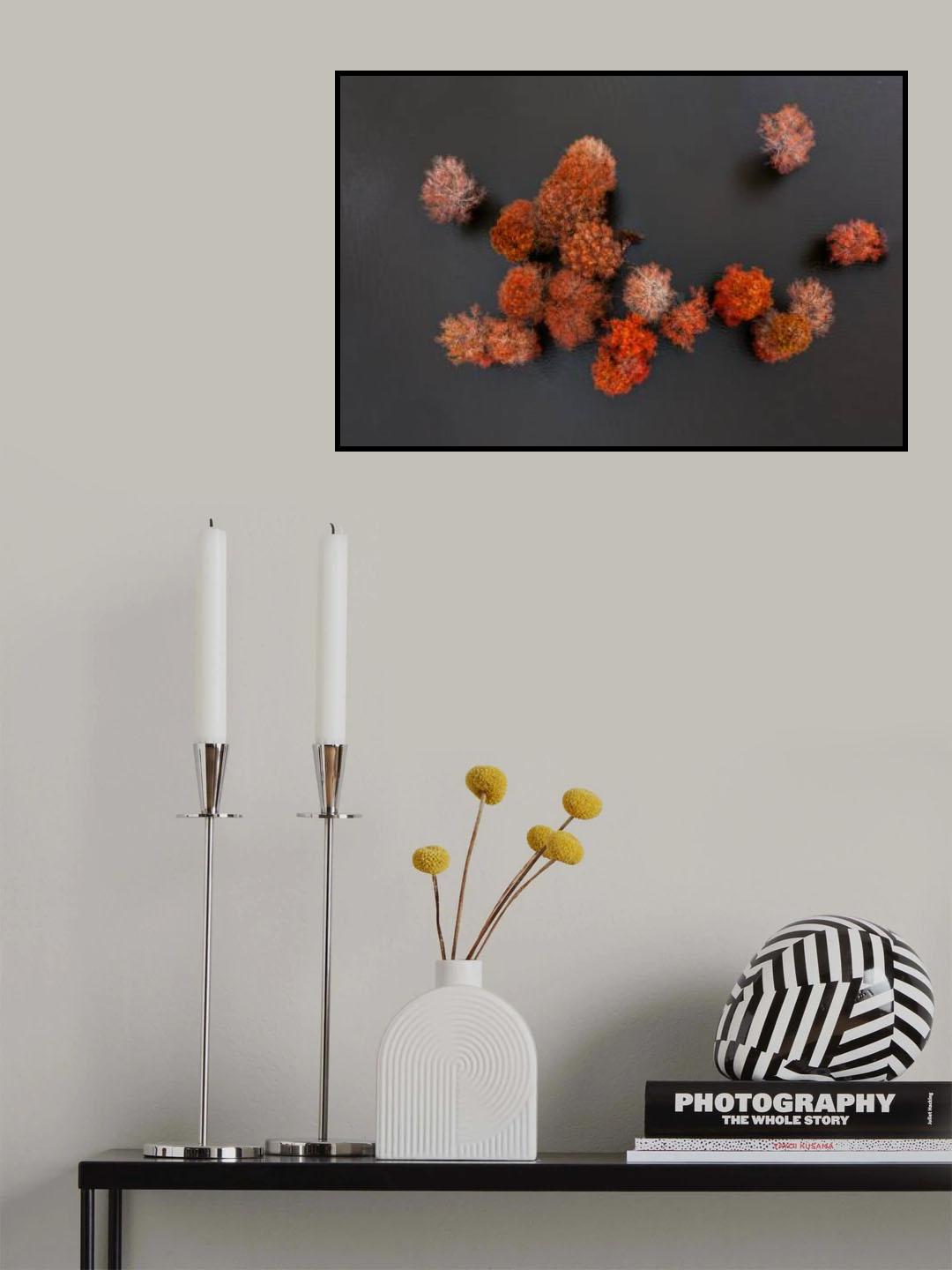 Strawberry? -- Areial View of Cypress Trees Poster och Canvastavla