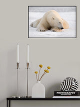 The White Giant Poster och Canvastavla