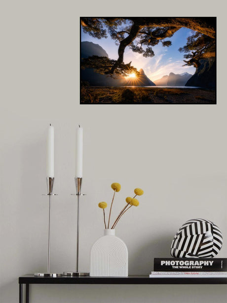 Sunny Day in Milford Sound Poster och Canvastavla