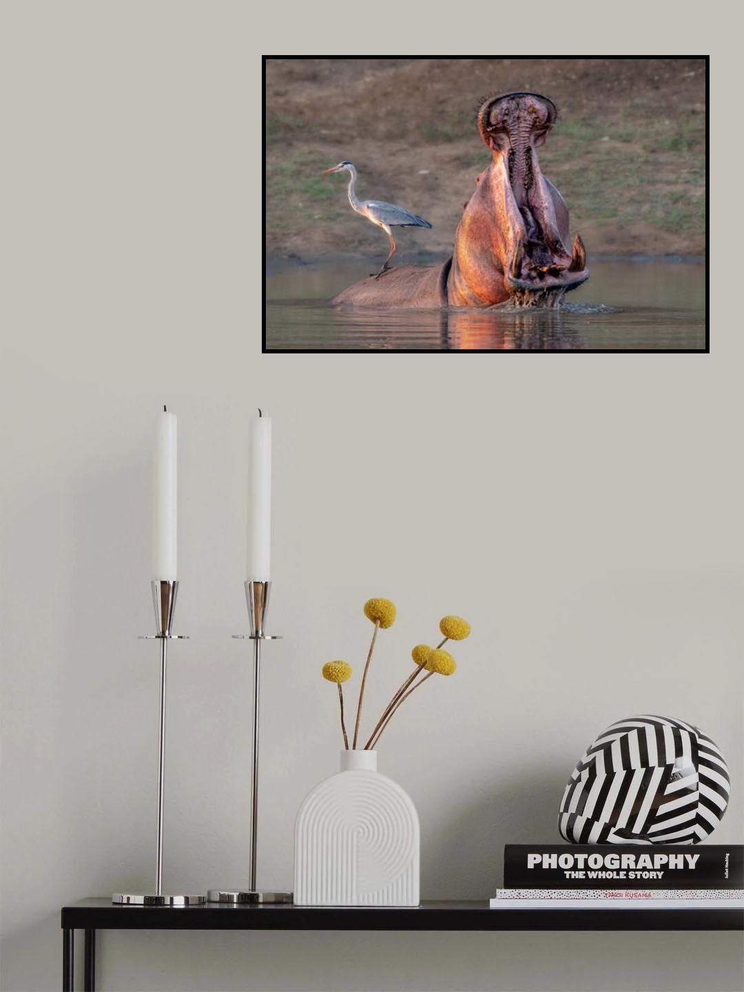 Don't Touch My Back! Poster och Canvastavla