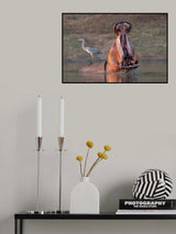 Don't Touch My Back! Poster och Canvastavla