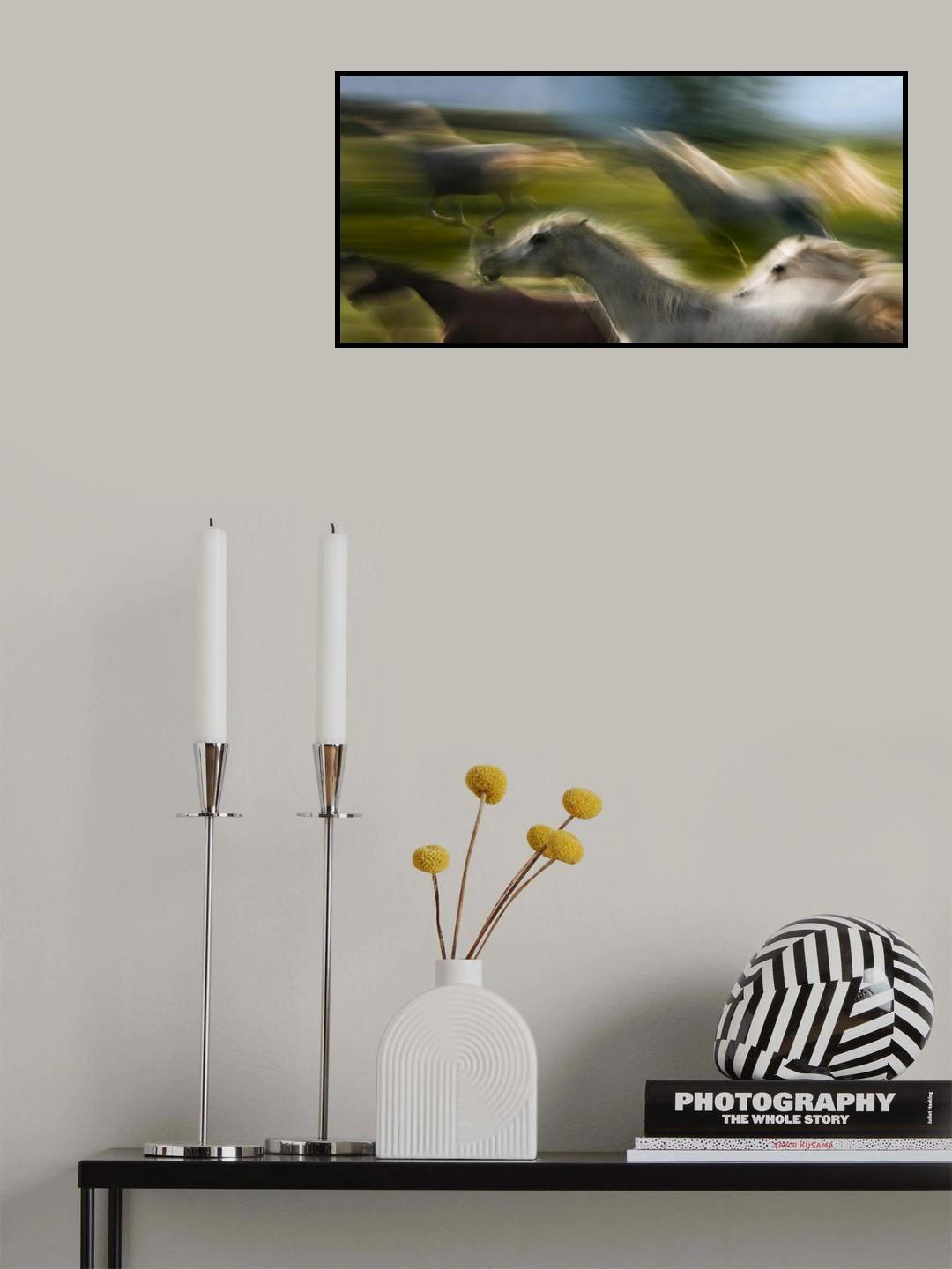 sequence in canter Poster och Canvastavla