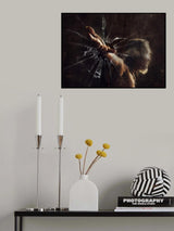blind abah Poster och Canvastavla