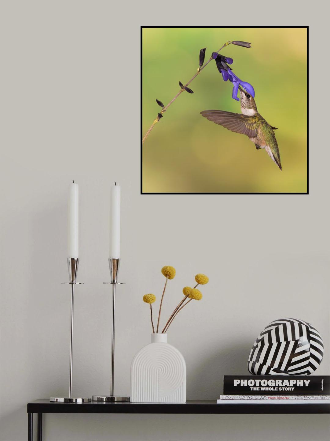Dinner Poster och Canvastavla