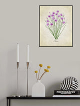 Chives vintage Poster och Canvastavla