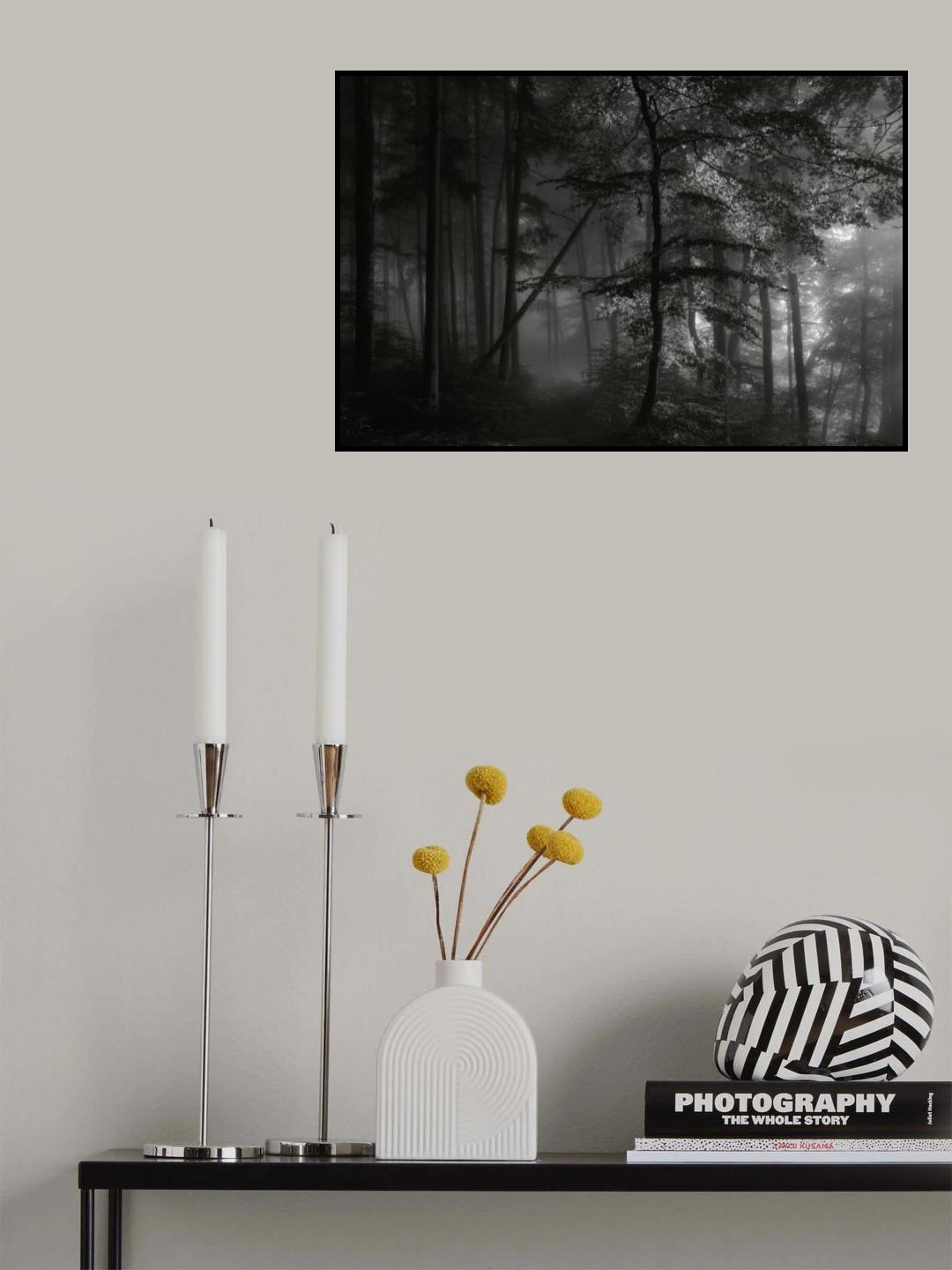 morning light Poster och Canvastavla