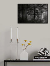 morning light Poster och Canvastavla