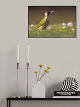 The woodpecker and the flowers Poster och Canvastavla