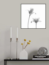 First tulips Poster och Canvastavla