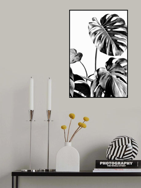 Monstera Black and White 07 Poster och Canvastavla