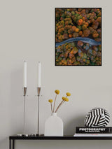 Autumn Way Poster och Canvastavla