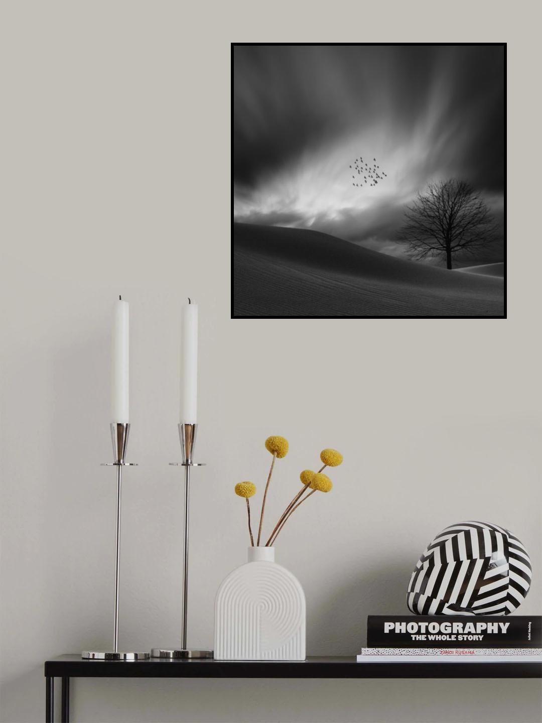 Coming home Poster och Canvastavla