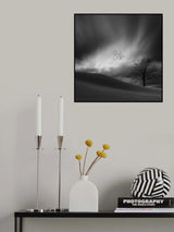 Coming home Poster och Canvastavla