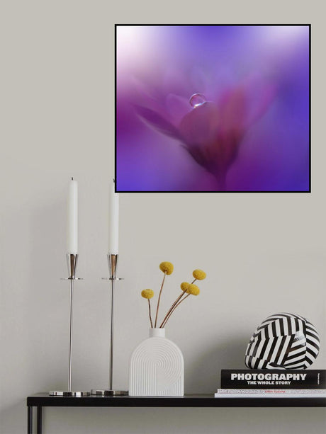 Colors of Love...III Poster och Canvastavla