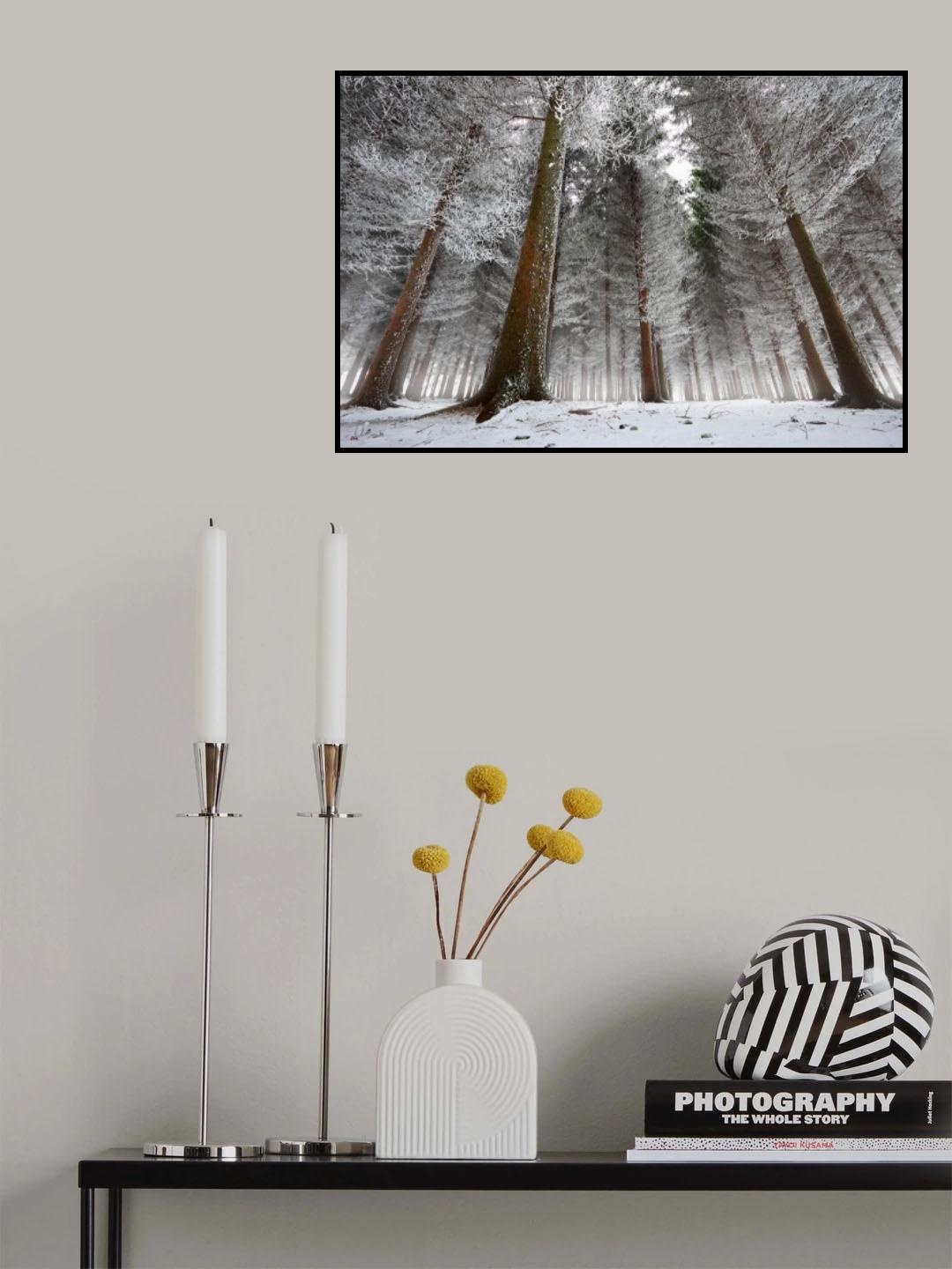 Morning in the forest Poster och Canvastavla