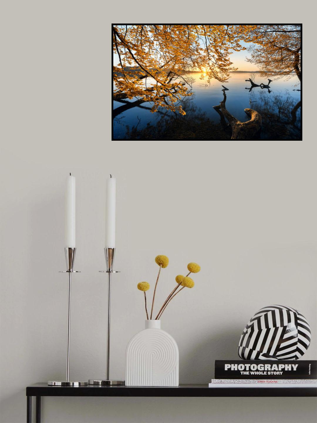 Autumn Morning Poster och Canvastavla