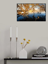 Autumn Morning Poster och Canvastavla
