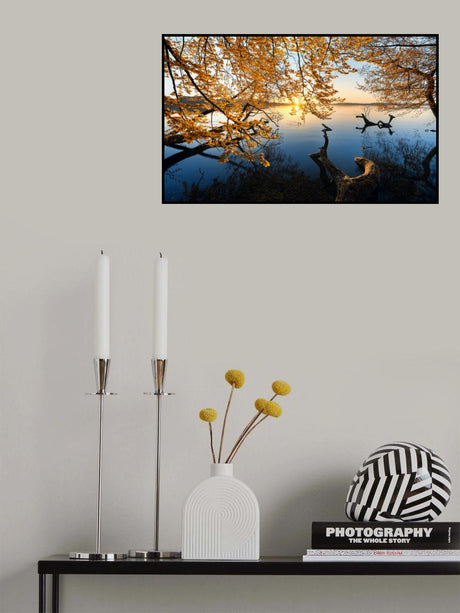 Autumn Morning Poster och Canvastavla