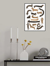 Dachshund Print Poster och Canvastavla