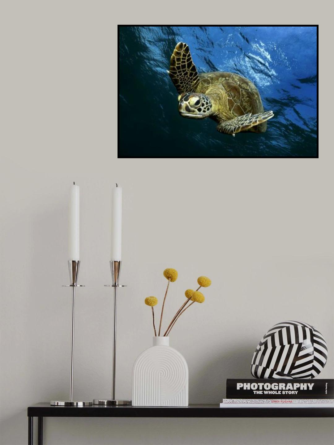 Into the blue Poster och Canvastavla