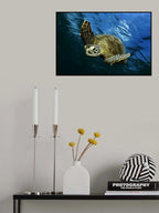 Into the blue Poster och Canvastavla