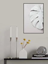 Monstera White 01 Poster och Canvastavla