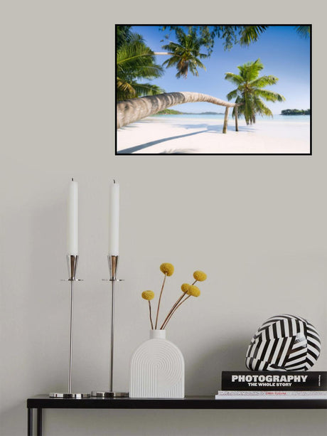 Tropical Palm Poster och Canvastavla