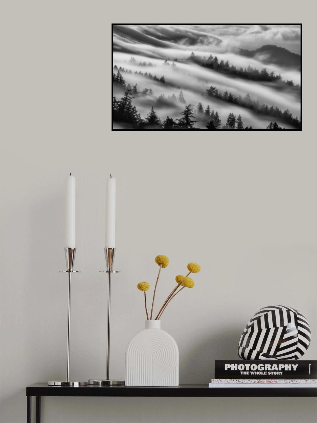 Forests Poster och Canvastavla