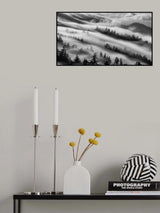Forests Poster och Canvastavla