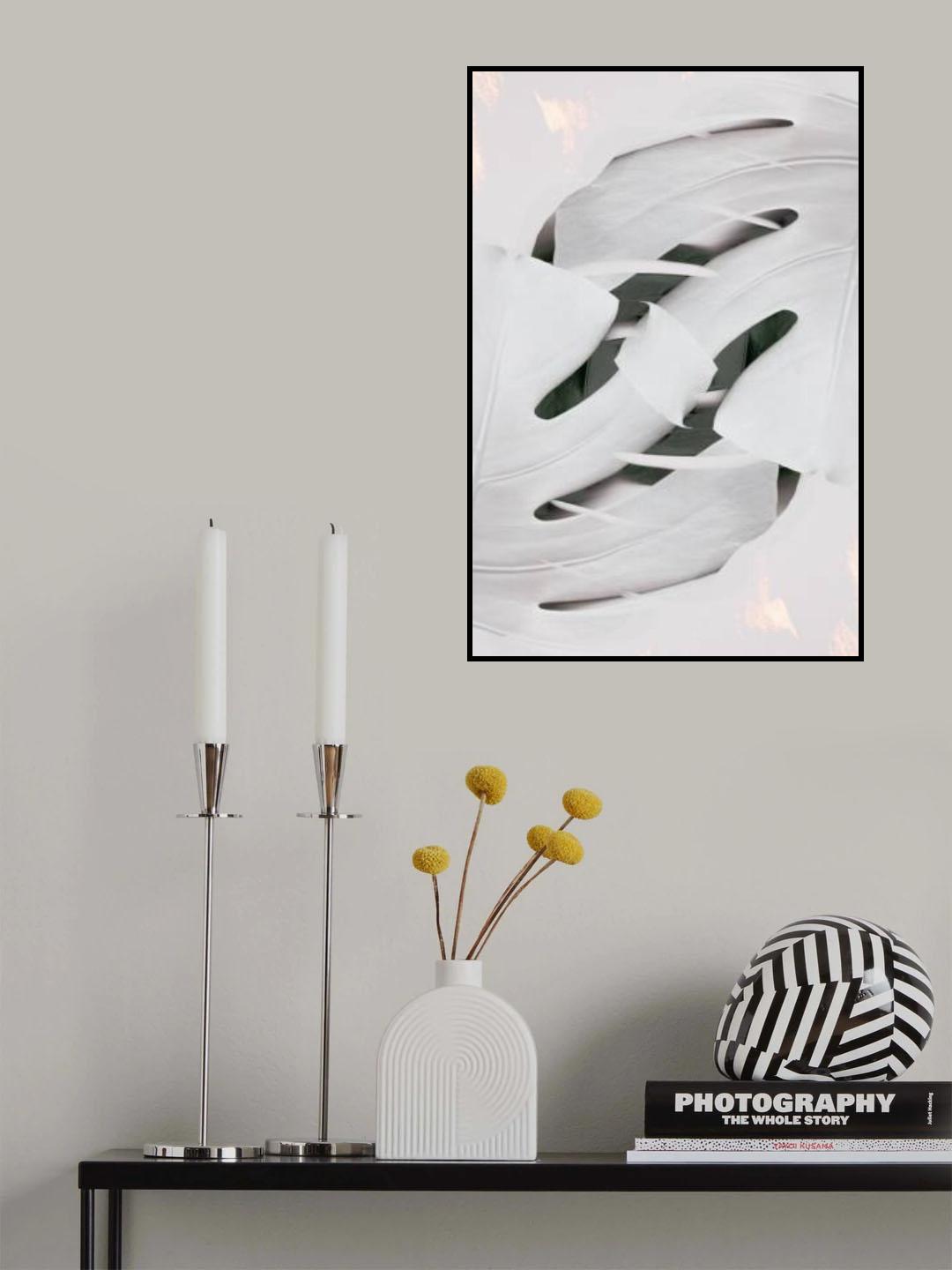 Monstera White 02 Poster och Canvastavla