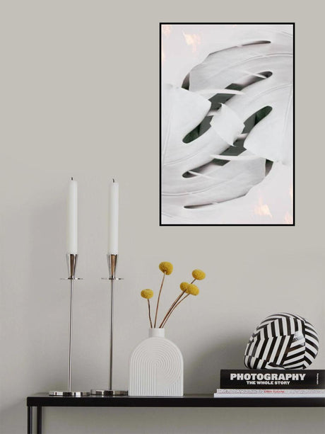 Monstera White 02 Poster och Canvastavla