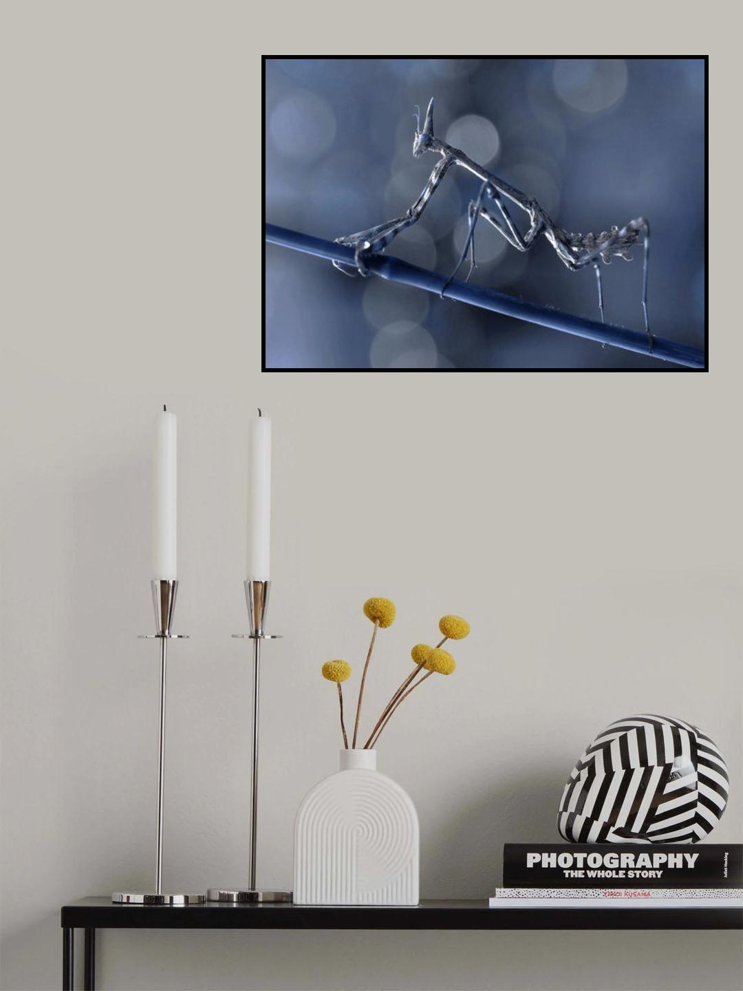 Alone in the dark... Poster och Canvastavla