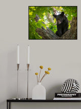 Quiet Moment Poster och Canvastavla